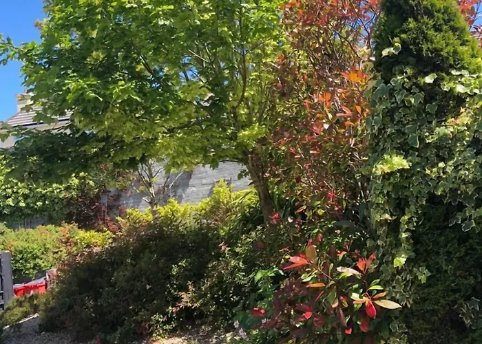 Amber Hill Bed & Breakfast Galway